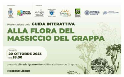 Guida interattiva alla flora del Massiccio del Grappa